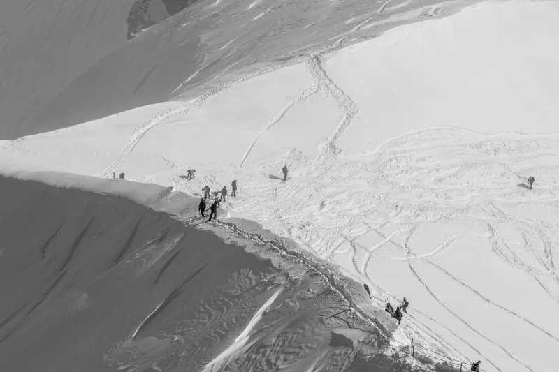 Born in the Alps, Claimed by the Slopes: The Unlikely American Love Story of Dynastar