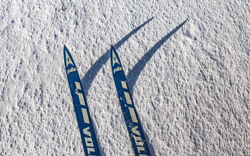 Cold Cash on the Mountain: Which Dynastar Models Actually Hold Their Value—and Why